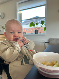Kidsme Dyb tallerken m. sugekop og temperaturske - Plum